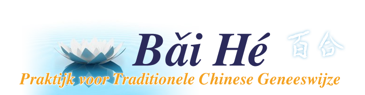 BaiHe logo